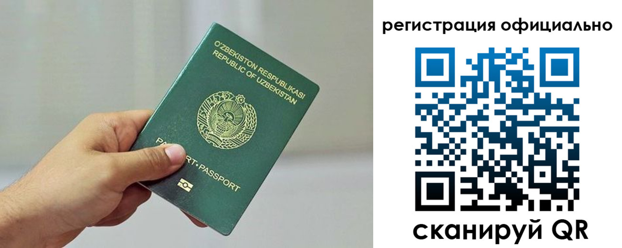 прописка в квартире в Новом Осколе